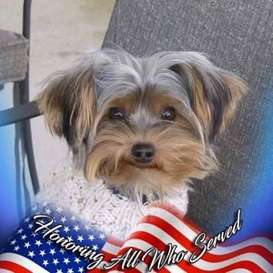 Meet your Posher, Nancy